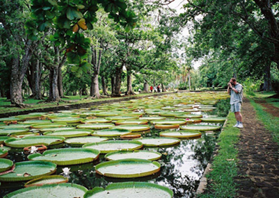 Marvelous Mauritius
